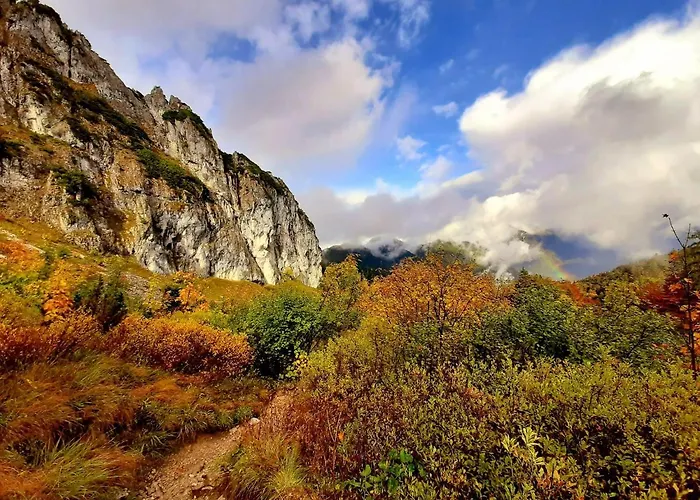 Bergliebe * ستوداخ اغرنداخ