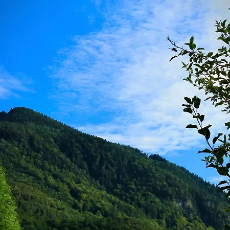 Bergliebe Staudach-Egerndach